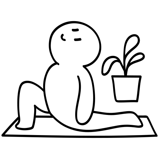 杨晴菲